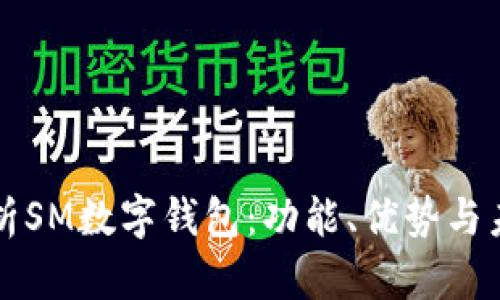 深入解析SM数字钱包：功能、优势与未来前景