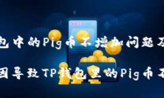 理解TP钱包中的Pig币不增加问题及解决方案是什么