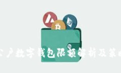 公户数字钱包限额解析及
