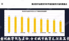 贵州数字钱包启动：全省