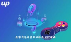 数字钱包亮资的风险及应
