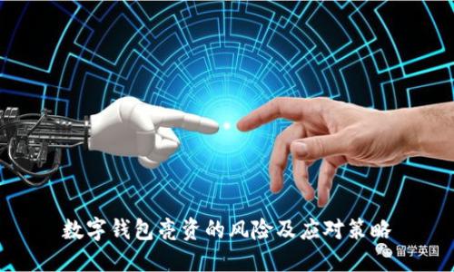 数字钱包亮资的风险及应对策略