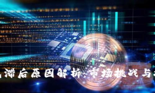 数字钱包滞后原因解析：市场挑战与技术瓶颈