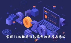 掌握16位数字钱包编号的使