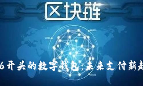 006开头的数字钱包：未来支付新趋势