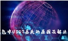 TP钱包中USDT丢失的原因及