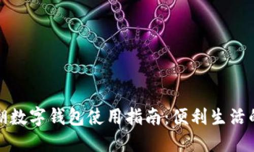 深圳罗湖数字钱包使用指南：便利生活的新选择