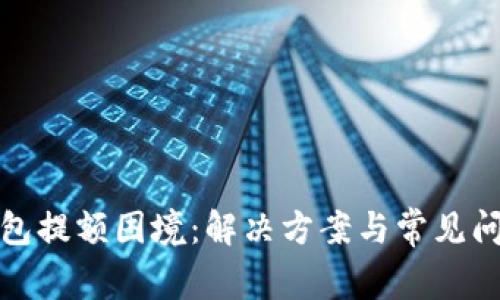 数字钱包提额困境：解决方案与常见问题解析
