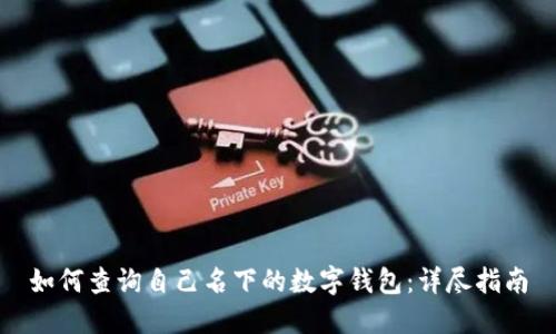 如何查询自己名下的数字钱包：详尽指南