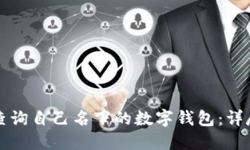 如何查询自己名下的数字钱包：详尽指南