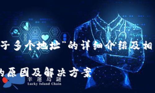 以下是关于“TP钱包一个币子多个地址”的详细介绍及相关内容，结构符合您的要求。

TP钱包一个币子多个地址的原因及解决方案