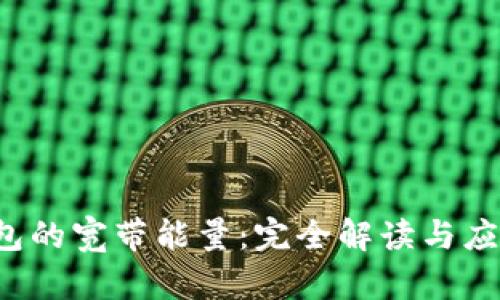 t p钱包的宽带能量：完全解读与应用分析