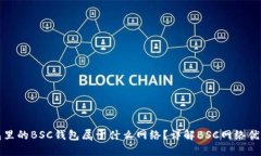 : TP钱包里的BSC钱包属于什么网络？详解BSC网络优