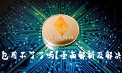 TP钱包用不了了吗？全面解