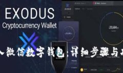 如何进入微信数字钱包：详细步骤与功能解析