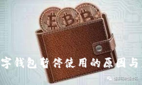ziaoti数字钱包暂停使用的原因与影响分析