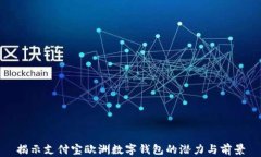 揭示支付宝欧洲数字钱包