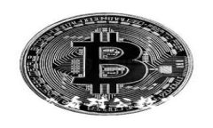 立即掌握2025必看对公数字钱包操作指引！
