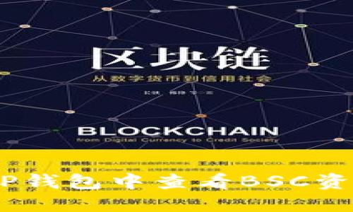 # 2025必看：如何在TP钱包中查看BSC资产？立即掌握使用技巧！