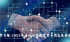 立即了解：2025必看的小型数字货币钱包选择指南
