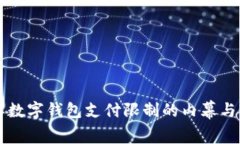 立即了解数字钱包支付限制的内幕与解决方案