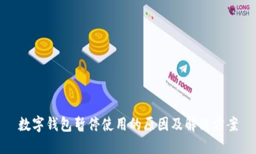 数字钱包暂停使用的原因及解决方案