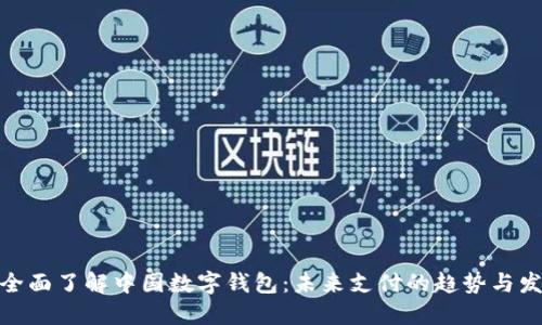 : 全面了解中国数字钱包：未来支付的趋势与发展