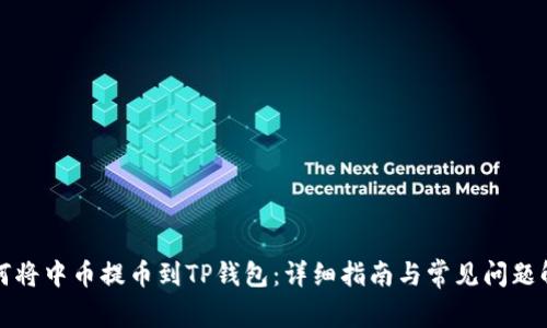 如何将中币提币到TP钱包:详细指南与常见问题解答