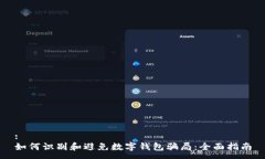 :如何识别和避免数字钱包骗局：全面指南