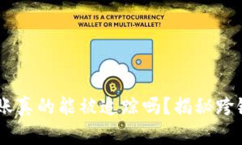 ## TP钱包跨链转账真的能被追踪吗？揭秘跨链转账的隐私与安全