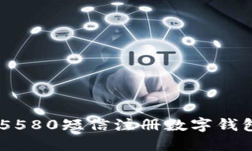 如何通过95580短信注册数字钱包：全面指南