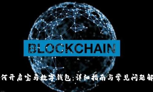如何开启宝马数字钱包：详细指南与常见问题解答